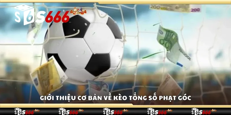 Giới thiệu cơ bản về kèo tổng số phạt góc