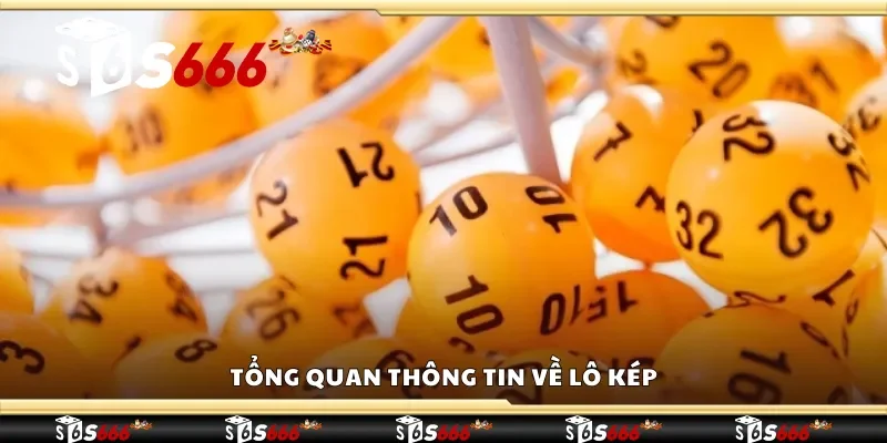 Tổng quan thông tin về lô kép