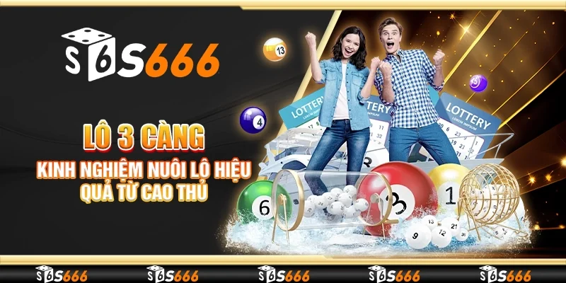 Lô 3 càng – Kinh nghiệm nuôi lô hiệu quả từ cao thủ