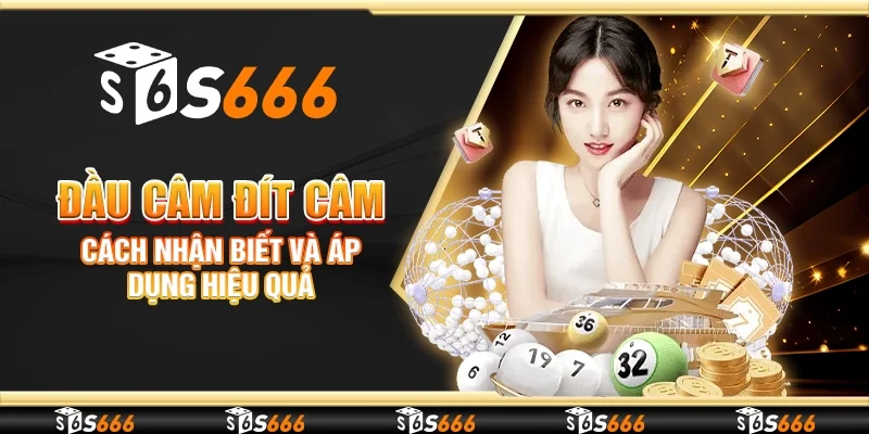 Đầu câm đít câm – Cách nhận biết và áp dụng hiệu quả