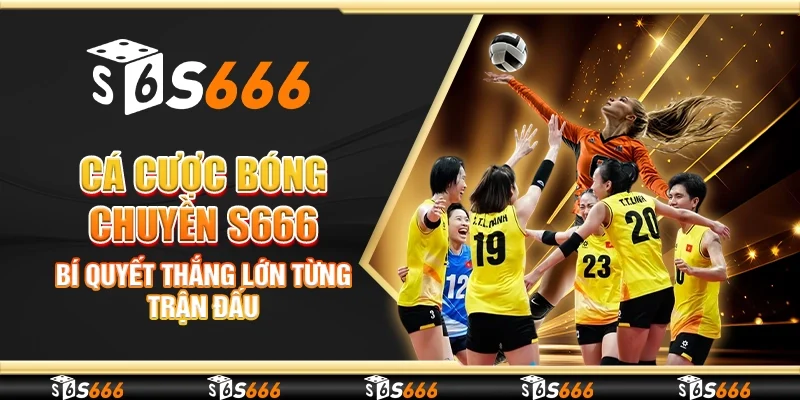 Cá cược bóng chuyền S666 - Bí quyết thắng lớn từng trận đấu