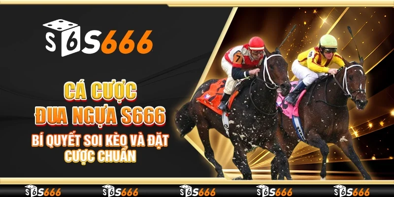 Cá cược đua ngựa S666 - Bí quyết soi kèo và đặt cược chuẩn