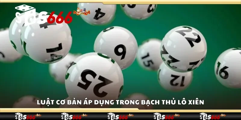 Luật cơ bản áp dụng trong bạch thủ lô xiên