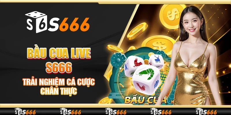 Bầu cua live S666 - Trải nghiệm cá cược chân thực