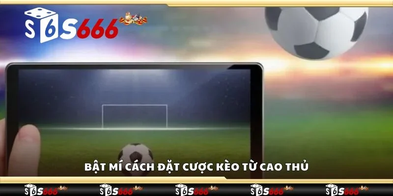 Bật mí cách đặt cược kèo từ cao thủ