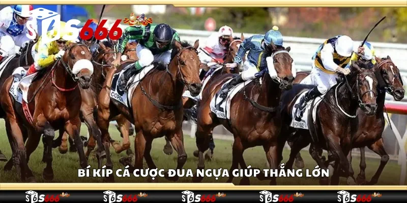 Bí kíp cá cược đua ngựa giúp thắng lớn 