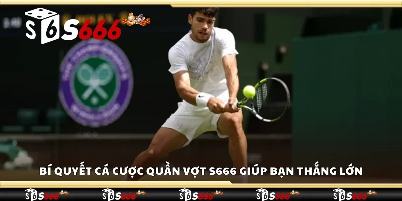 Bí quyết cá cược quần vợt S666 giúp bạn thắng lớn