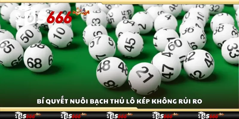 Bí quyết nuôi bạch thủ lô kép không rủi ro