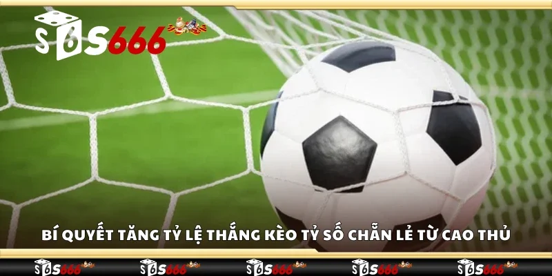 Bí quyết tăng tỷ lệ thắng kèo tỷ số chẵn lẻ từ cao thủ