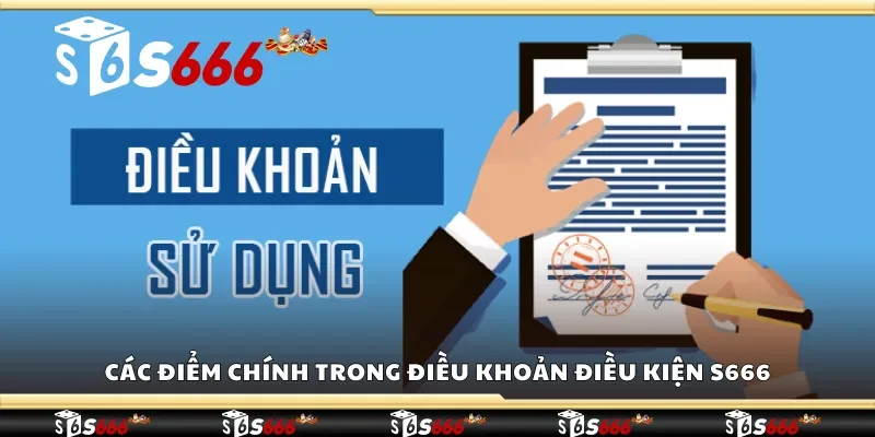 Các điểm chính trong điều khoản điều kiện S666