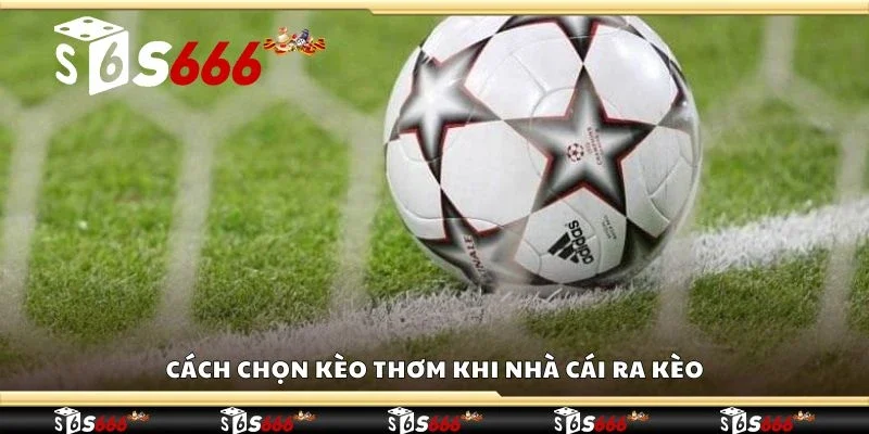 Cách chọn kèo thơm khi nhà cái ra kèo
