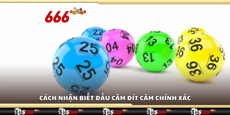 Cách nhận biết đầu câm đít câm chính xác
