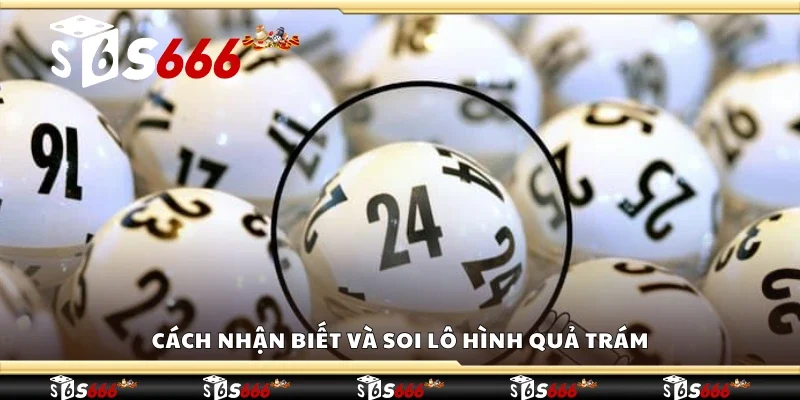 Cách nhận biết và soi lô hình quả trám