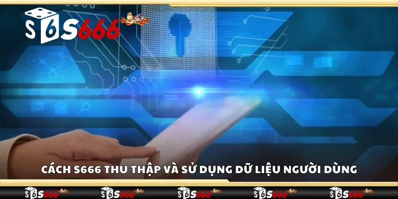Cách S666 thu thập và sử dụng dữ liệu người dùng