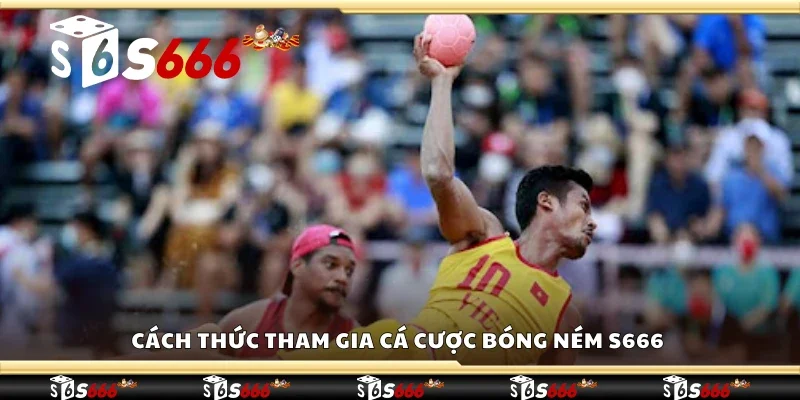 Cách thức tham gia cá cược bóng ném S666