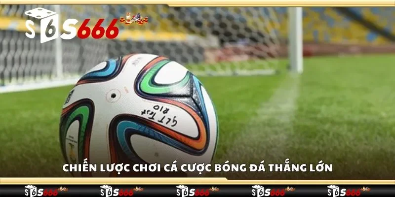 Chiến lược chơi cá cược bóng đá thắng lớn