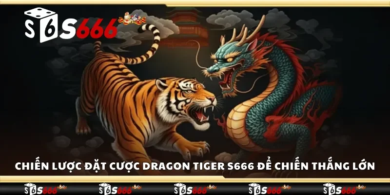 Chiến lược đặt cược Dragon Tiger S666 để chiến thắng lớn