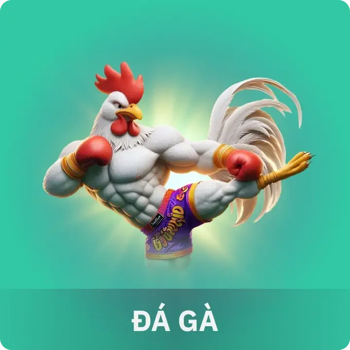sản phẩm s666