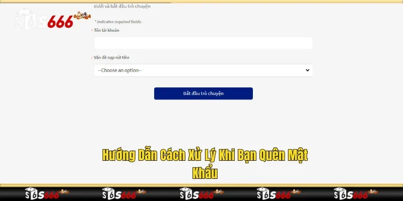 Hướng dẫn cách xử lý khi bạn quên mật khẩu