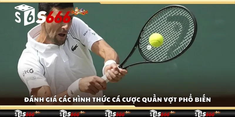 Đánh giá các hình thức cá cược quần vợt phổ biến