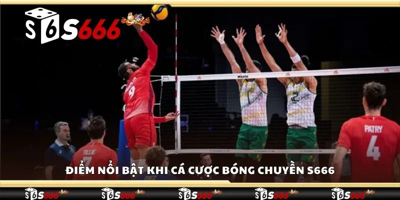 Điểm nổi bật khi cá cược bóng chuyền S666