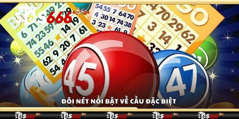 Đôi nét nổi bật về cầu đặc biệt 