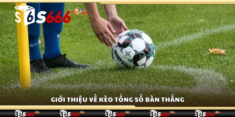 Giới thiệu về kèo tổng số bàn thắng