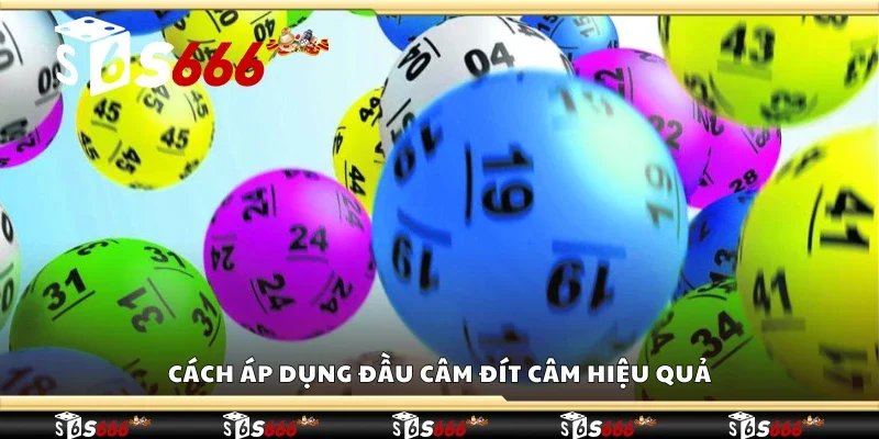 Hướng dẫn áp dụng đầu câm đít câm hiệu quả