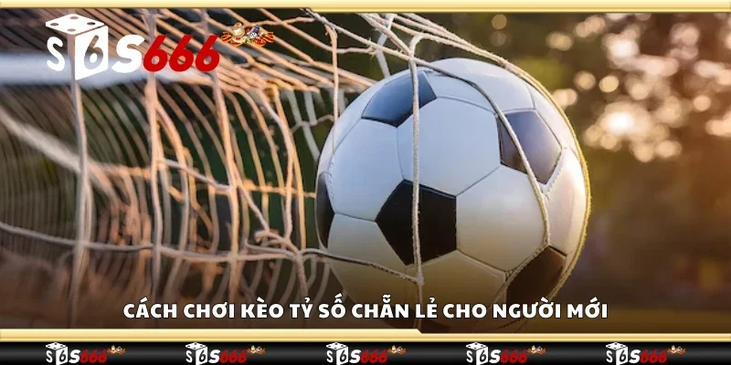Hướng dẫn cách chơi kèo tỷ số chẵn lẻ cho người mới