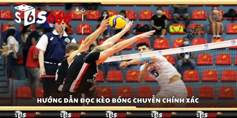 Hướng dẫn đọc kèo bóng chuyền chính xác