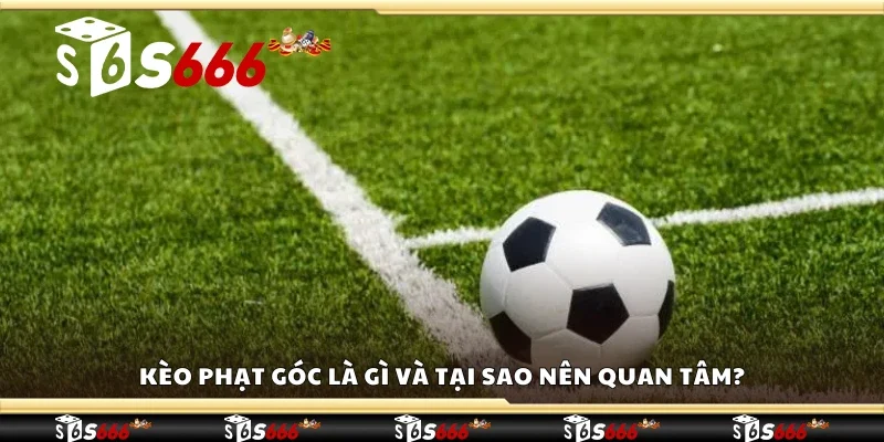 Kèo phạt góc là gì và tại sao nên quan tâm?