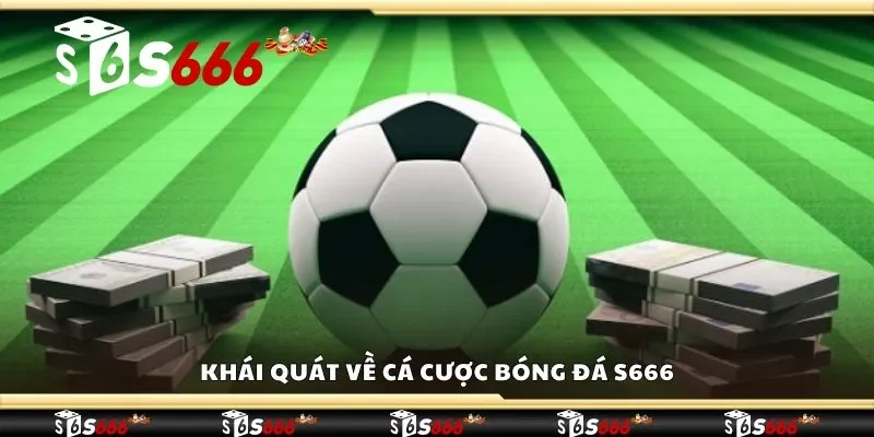 Khái quát về cá cược bóng đá S666