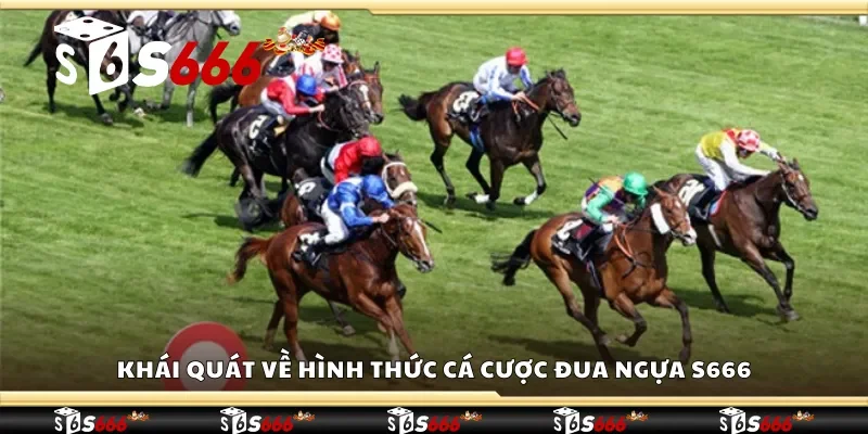 Khái quát về hình thức cá cược đua ngựa S666 