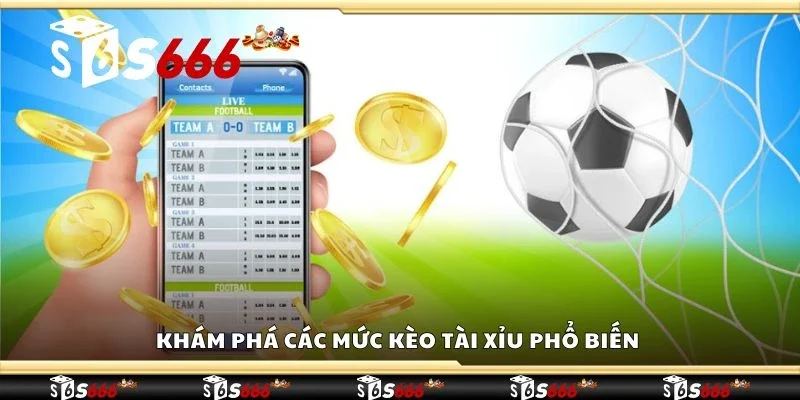 Khám phá các mức kèo tài xỉu phổ biến
