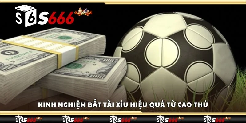 Kinh nghiệm bắt tài xỉu hiệu quả từ cao thủ