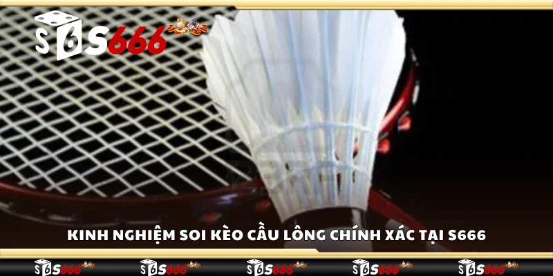 Kinh nghiệm soi kèo cầu lông chính xác tại S 666