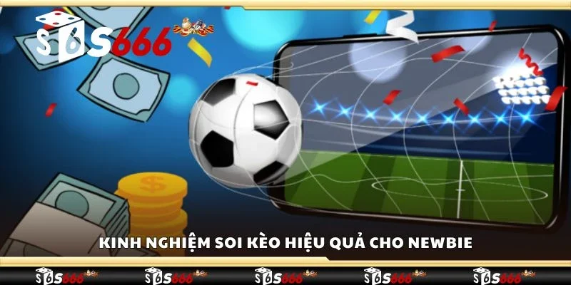 Kinh nghiệm soi kèo hiệu quả cho newbie