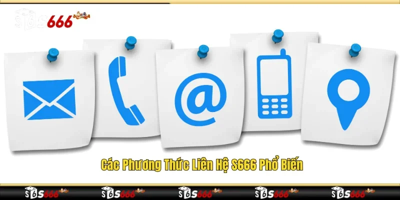 Các phương thức liên hệ S666 phổ biến 
