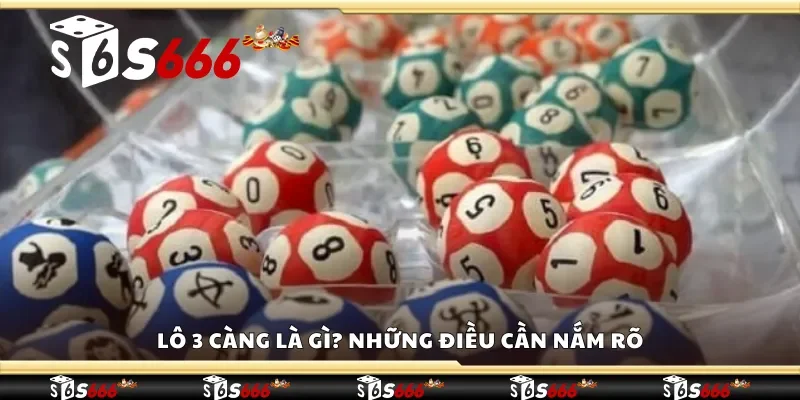 Lô 3 càng là gì? Những điều cần nắm rõ