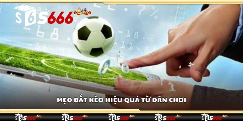 Mẹo bắt kèo hiệu quả từ dân chơi