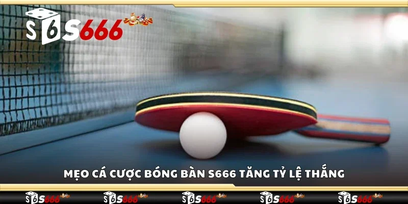 Mẹo cá cược bóng bàn S666 tăng tỷ lệ thắng