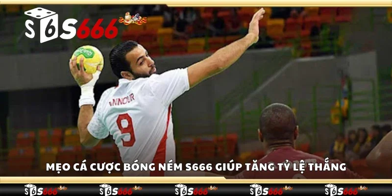 Mẹo cá cược bóng ném S666 giúp tăng tỷ lệ thắng