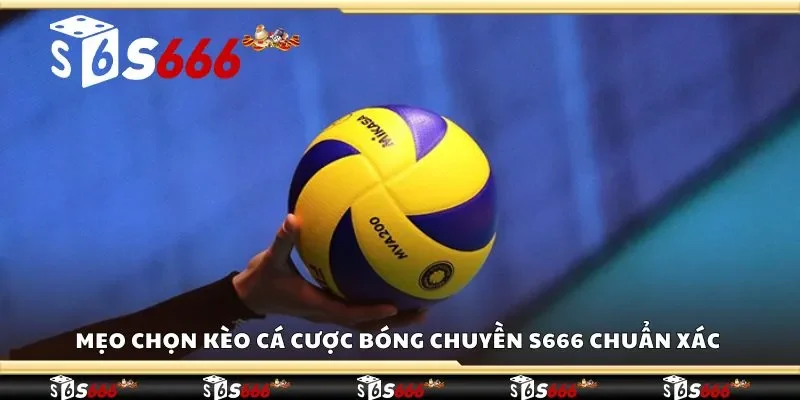 Mẹo chọn kèo cá cược bóng chuyền S666 chuẩn xác