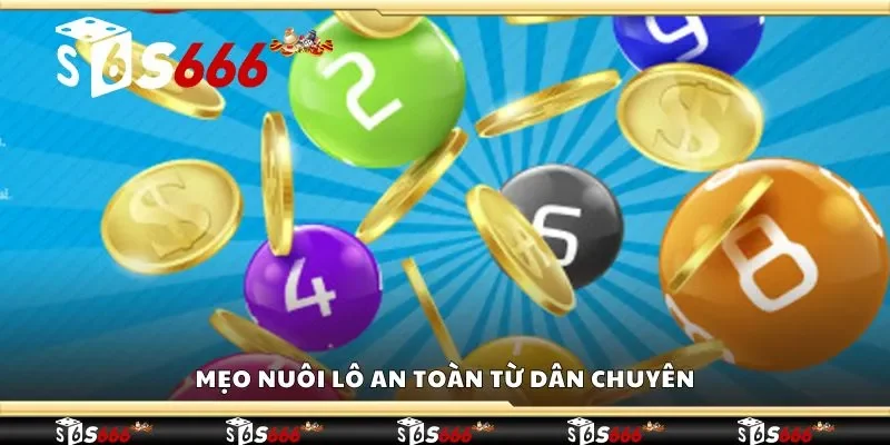 Mẹo nuôi lô an toàn từ dân chuyên