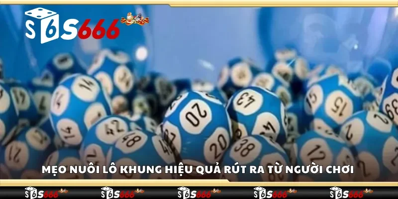 Mẹo nuôi lô khung hiệu quả rút ra từ người chơi 