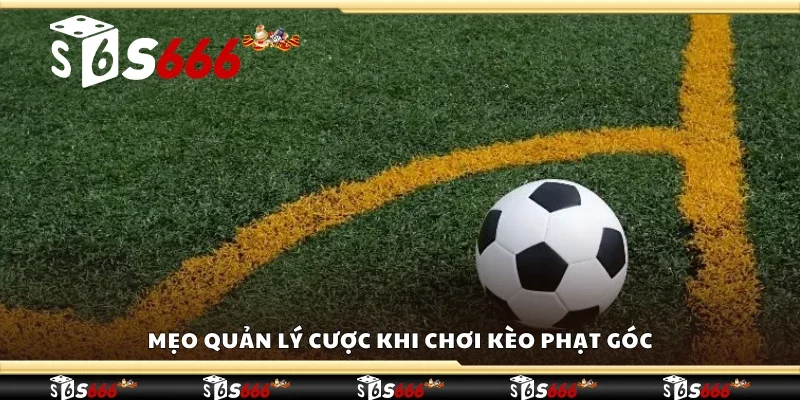 Mẹo quản lý cược khi chơi kèo phạt góc