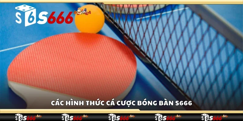 Một số hình thức cá cược bóng bàn S666