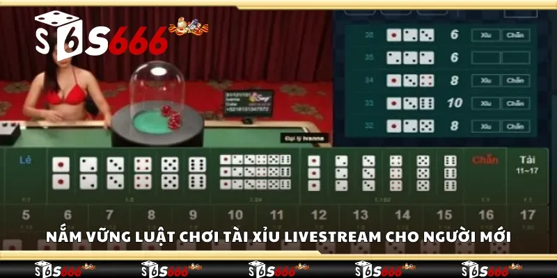 Nắm vững luật chơi tài xỉu livestream cho người mới