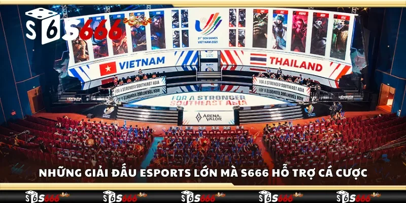 Những giải đấu eSports lớn mà S666 hỗ trợ cá cược