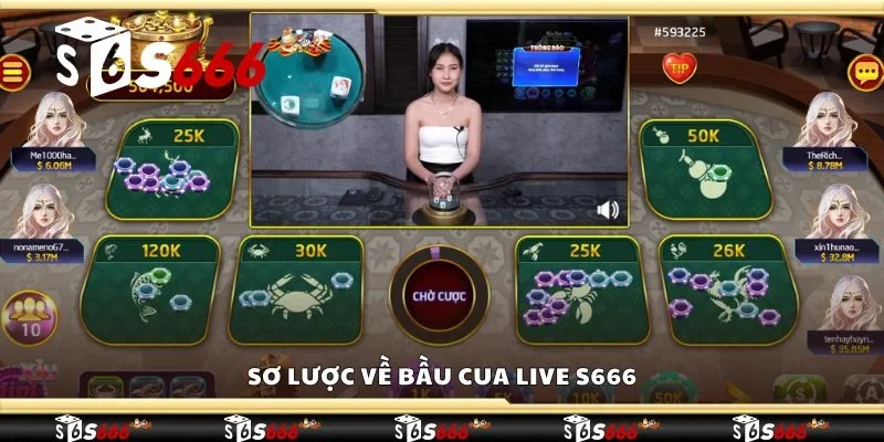 Sơ lược về bầu cua live S666